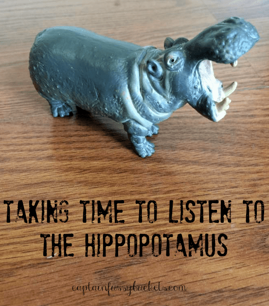 Taking Time to Listen To The Hippopotamus