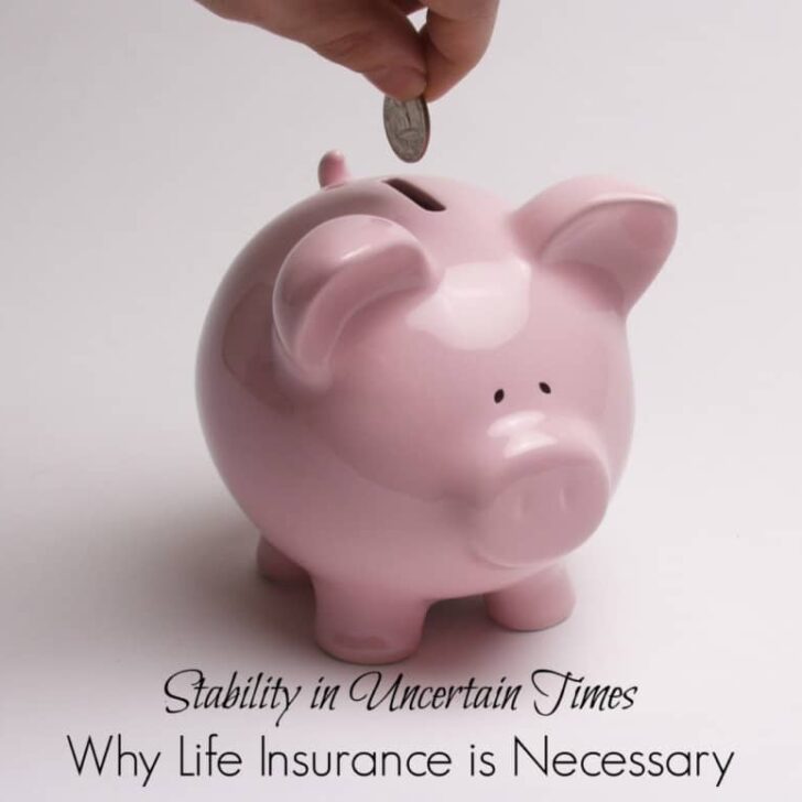 Stability in Uncertain Times:  Why Life Insurance Is Necessary