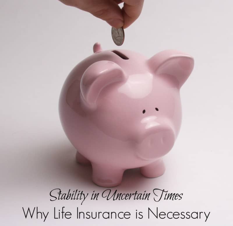 Stability in Uncertain Times:  Why Life Insurance Is Necessary
