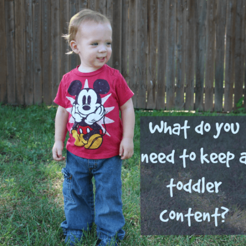 Things You Need To Keep A Toddler Content