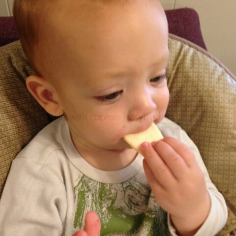 What Is A Healthy Snack for Babies and Toddlers On The Go?