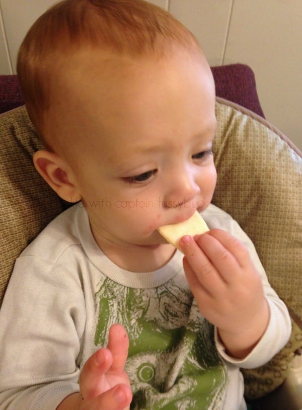 What Is A Healthy Snack for Babies and Toddlers?