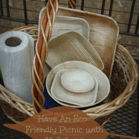 Have an Eco-Friendly Picnic