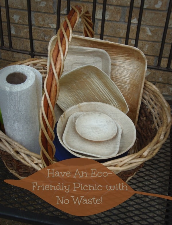 Have an Eco-Friendly Picnic