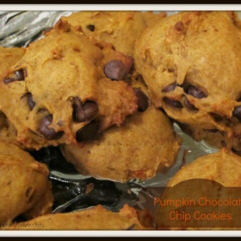 Pumpkin Chocolate Chip Cookies {recipe}