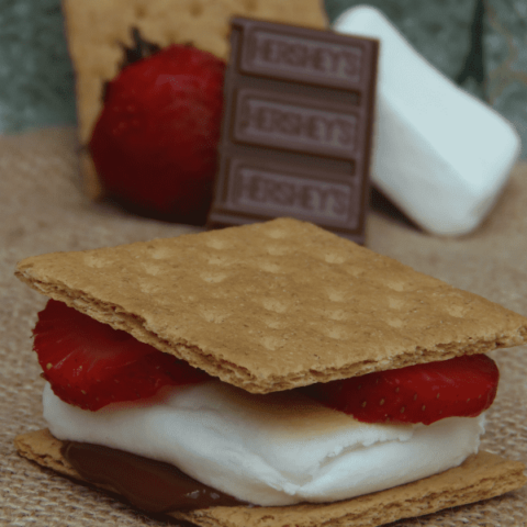 Easy 10 Minute Strawberry S’mores