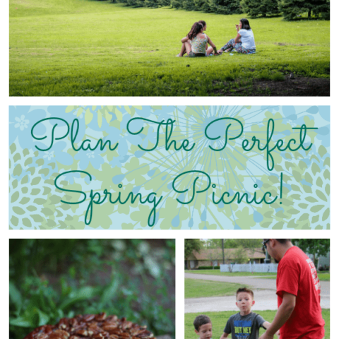 The Perfect Spring Picnic Is Made Special With Collin Street Bakery