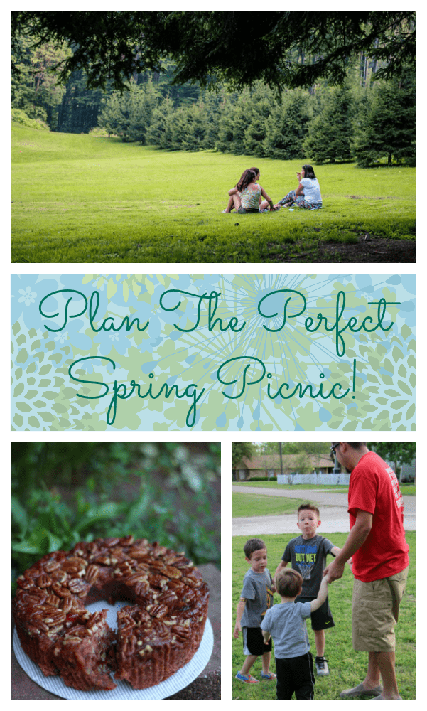 The Perfect Spring Picnic Is Made Special With Collin Street Bakery