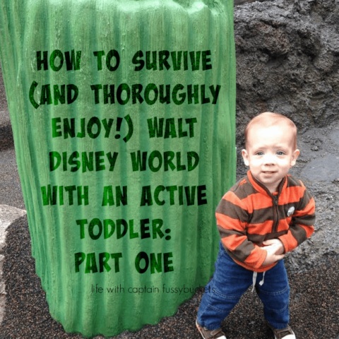 How To Survive (and Thoroughly Enjoy!) Walt Disney World with an Active Toddler :  Part One