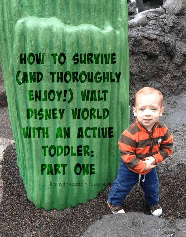 How To Survive (and Thoroughly Enjoy!) Walt Disney World with an Active Toddler :  Part One