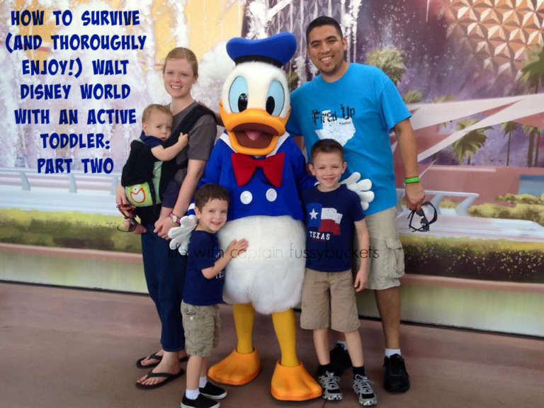 How To Survive (And Thoroughly Enjoy!) Walt Disney World With An Active Toddler:  Part Two