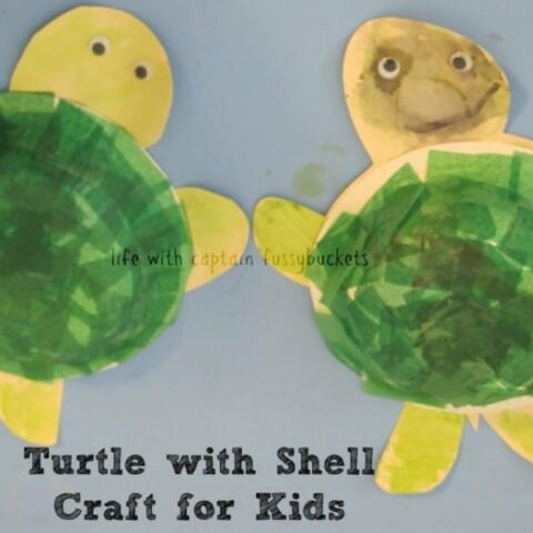 Turtle With Shell Craft