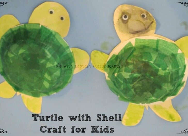 Turtle With Shell Craft