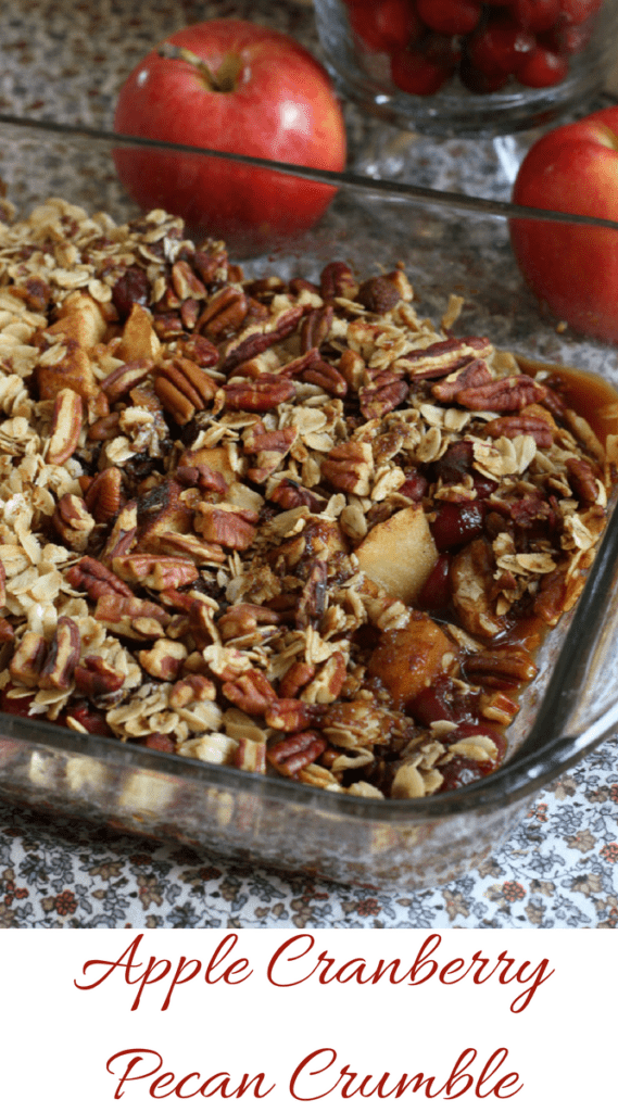Say Hello To Fall With This DELICIOUS Apple Cranberry Pecan Crumble