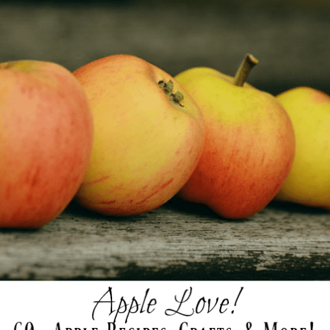 Apple Season Love!  60+ Apple Recipes, Crafts, and More