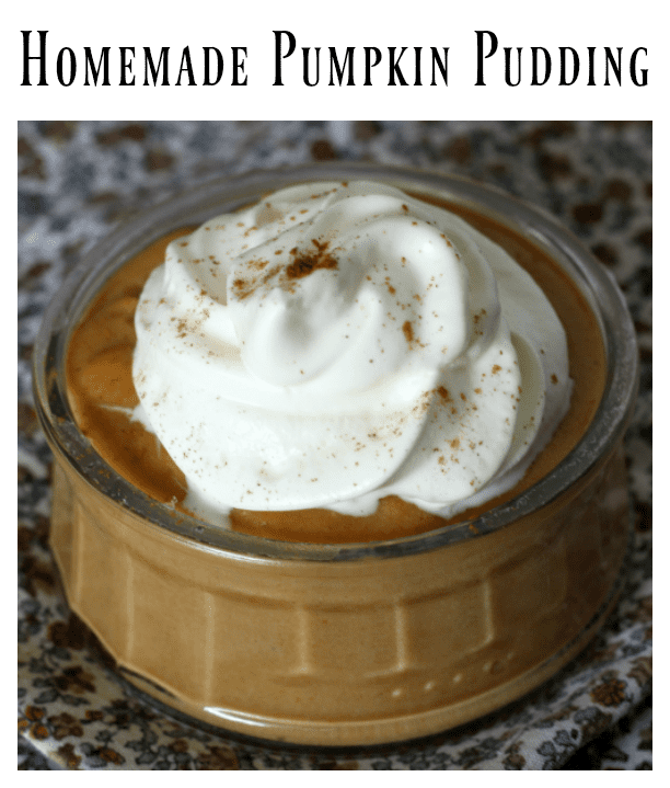 homemade pumpkin pudding 4