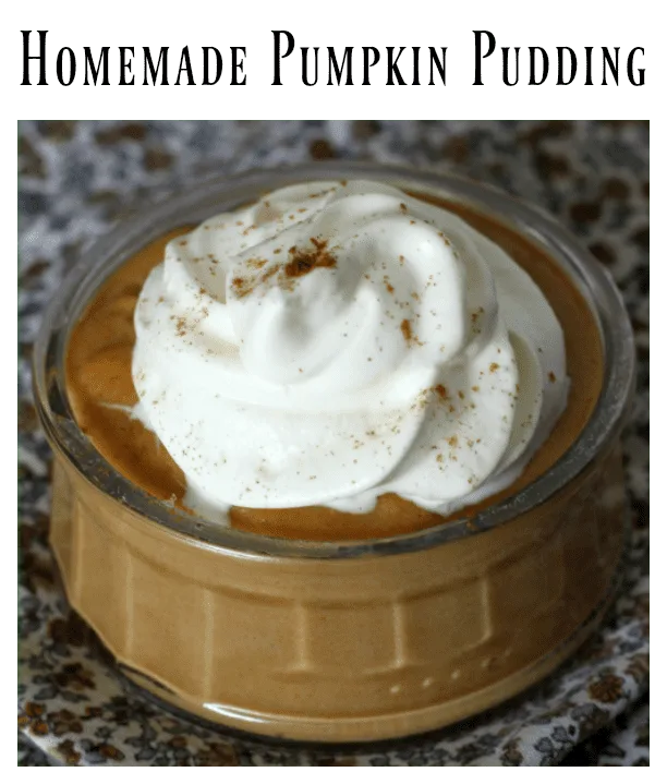 homemade pumpkin pudding 4