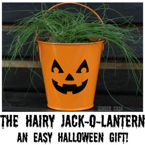 The Hairy Jack-O-Lantern:  An Easy Halloween Gift That Doubles As A Thanksgiving Gift!