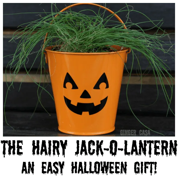 halloween gift hairy-jack-o-lantern-pin
