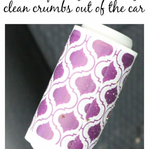 Busy Mom Hack – How To Clean Up The Car In A Snap!