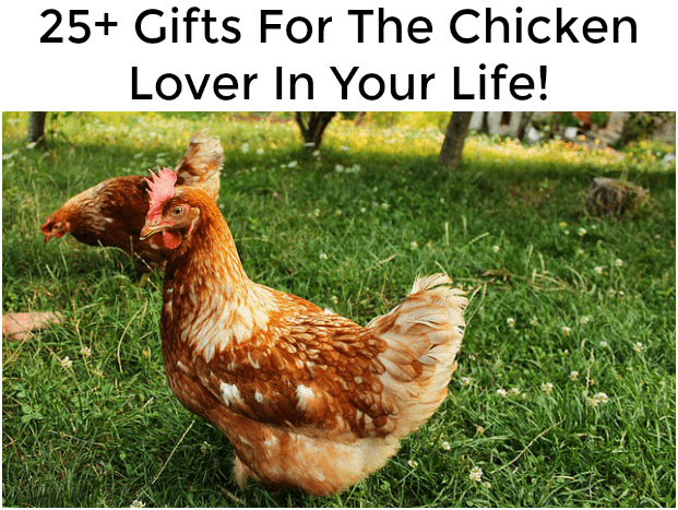 25+ Chicken Gifts For The Chicken Lover In Your Life