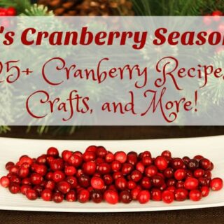 It’s Cranberry Season!  25+ Cranberry Recipes, Crafts, and More!