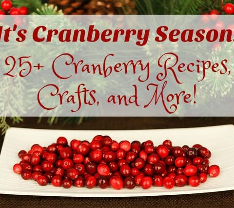 It’s Cranberry Season!  25+ Cranberry Recipes, Crafts, and More!