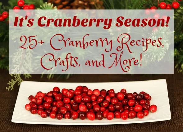 cranberry-recipes