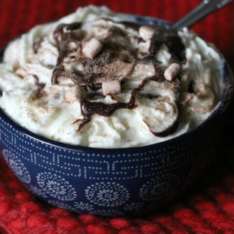 Homemade Hot Chocolate Pudding – A Fun Spin On A Winter Favorite!