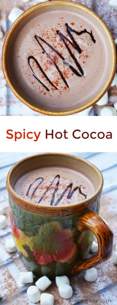 spicy-hot-cocoa-pin