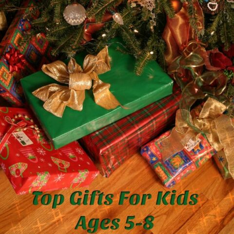 Top Gifts for Kids 2016 (ages 5-8) When You Just Don’t Know What To Get!
