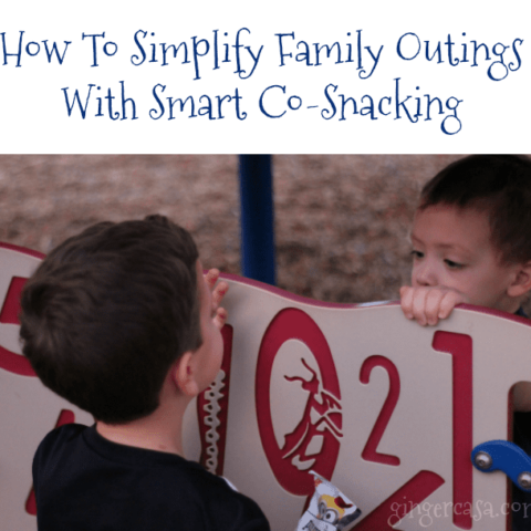 How To Simplify Family Outings With Smart Co-Snacking