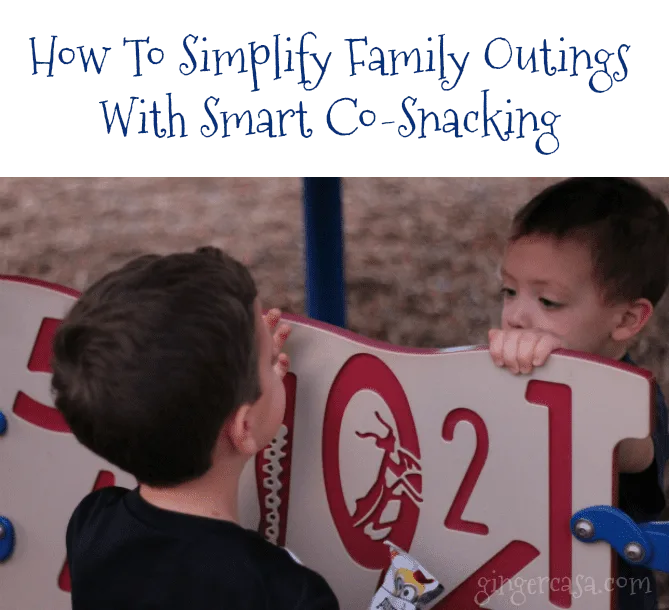 Pure Growth Organic - How To Simplify Family Outings With Smart Co-Snacking brothers sharing co-snacking