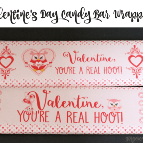 Owl Valentine’s Day Candy Bar Wrappers – You’re A Real Hoot! Free Printables