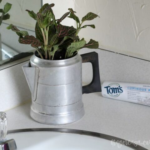 How To Upcycle Vintage Coffee Pots Into Planters