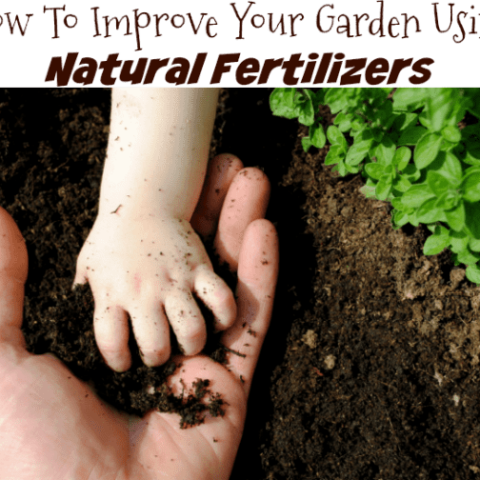 How To Improve Your Garden Using Natural Fertilizers
