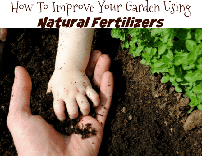 kid friendly organic gardening