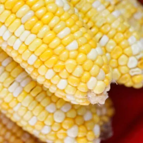 How To Make Perfect Corn On The Cob In The Instant Pot