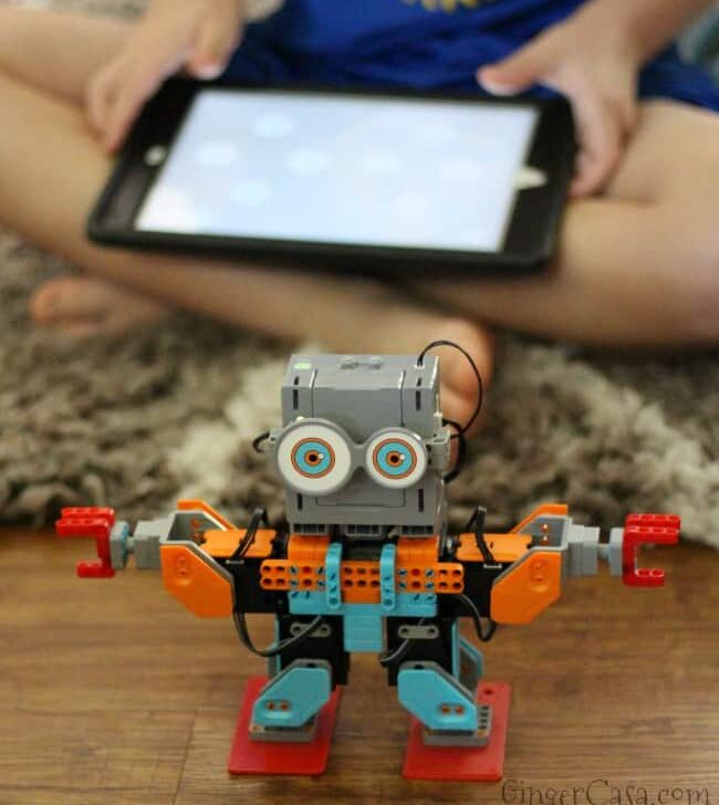 Keep The Learning FUN With Jimu Robot STEM Toys