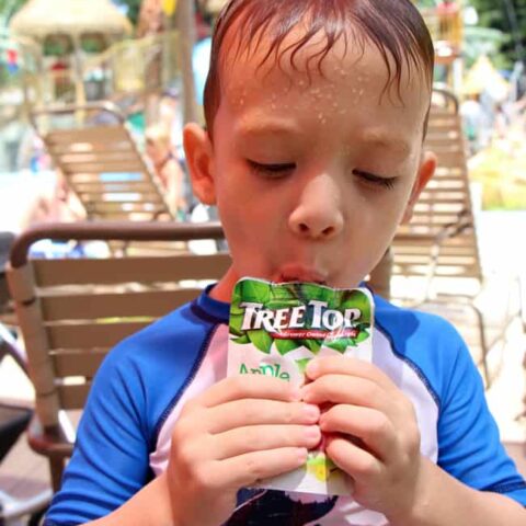 The Best Portable Snacks For A Trip To The Zoo Or Water Park