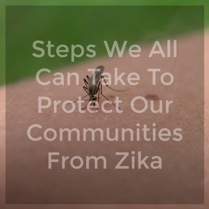 Steps We All Can Take To Protect Our Communities From Zika