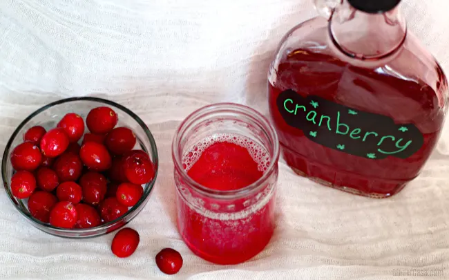 homemade cranberry soda