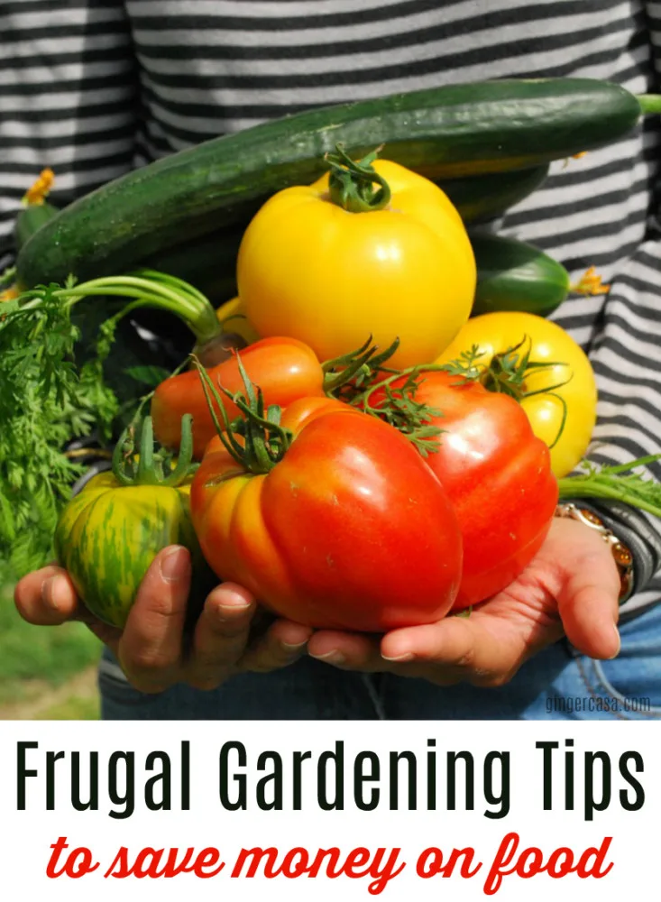 frugal gardening tips