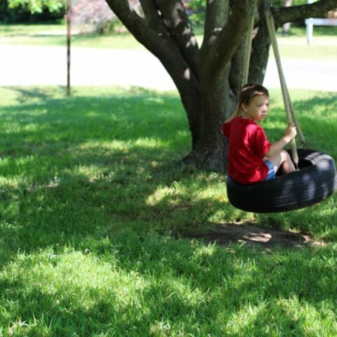 Yes, There Is An Organic Fertilizer for Lawns, Gardens, and Flowerbeds