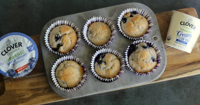 Blueberry Yogurt Muffins