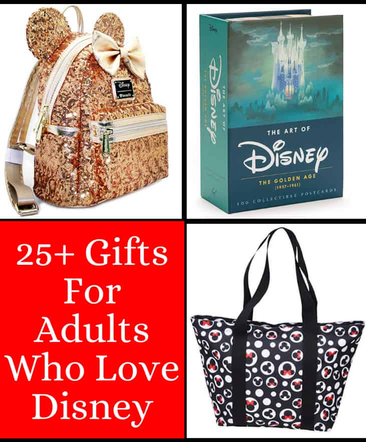 50 Best Disney Themed Gift Ideas for Adult Disney Lovers - Abbotts At Home