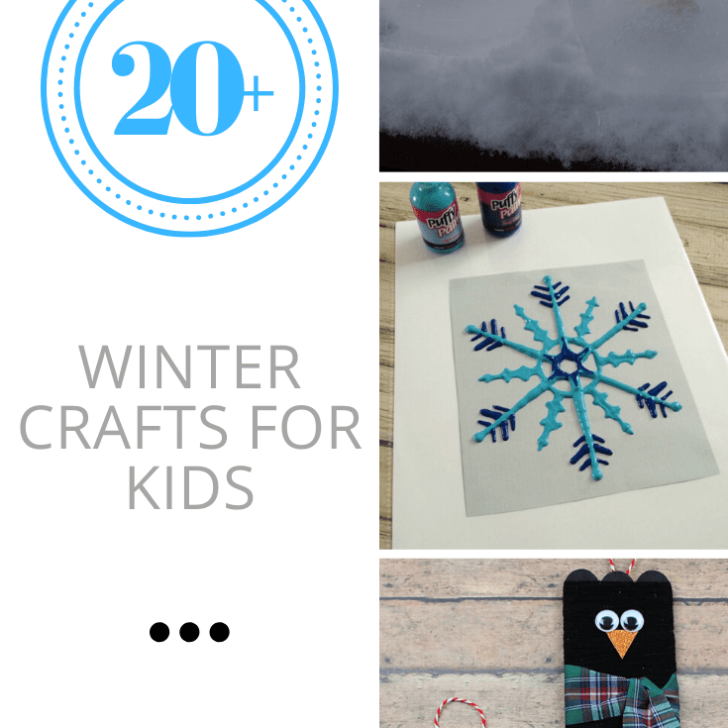 20+ Winter Crafts for Kids