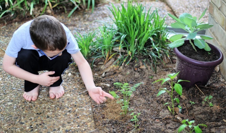 The Best Children's Vitamins with Immunity Support