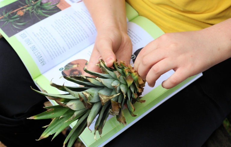 How to Regrow your Vegetables - An Easy Guide Book!