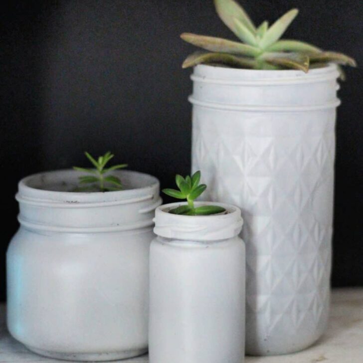 Making Time For Yourself – Painted Mason Jar Succulent Planters